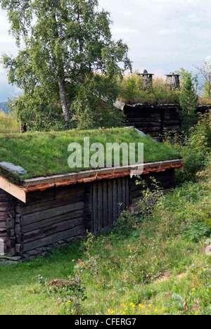 Norvège - TRONDHEIM Sverresborg - Musée folklorique de Torndelag La Ferme Densbüren Banque D'Images