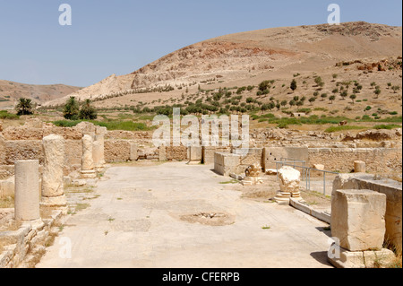 Bulla Regia. La Tunisie. Vue sur les ruines d'un pavé mosaïque une fois grand enclos qui était constitué de canaux entourant l'eau Banque D'Images