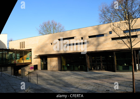 La Collection County Museum and Gallery Lincoln en Angleterre. Banque D'Images