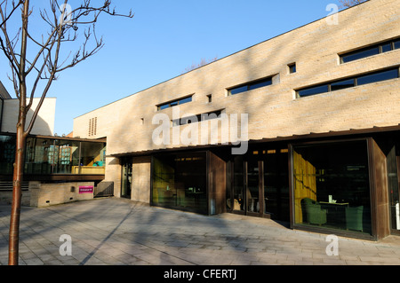 La Collection County Museum and Gallery Lincoln en Angleterre. Banque D'Images