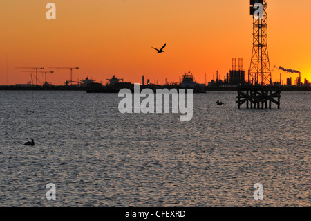 L'industrie et la nature, dans un groupe de pélicans bruns volant au-dessus de l'eau avec l'industrie dans un rouge orange au coucher du soleil. Banque D'Images