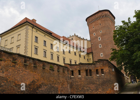Le Zamek Krolewski na Wawelu, Château Royal de Wawel, vieille ville, Cracovie, Cracovie, province de Malopolska, Lesser Poland Voivodeship, Pologne Banque D'Images
