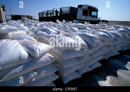 Chott el-Djerid sacs de sel, Tozeur, Tunisie, Afrique du Nord, Afrique Banque D'Images