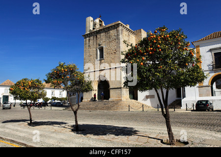 Les arbres pousser orange à l'extérieur de la cathédrale (Se) dans la vieille ville de Faro, Algarve, Portugal, Europe Banque D'Images