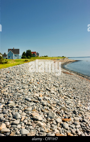 Brad littoral Cove, Nova Scotia, Canada Banque D'Images