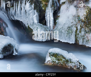 Avis de Mira tombe en hiver, Basse Autriche, Autriche, Europe Banque D'Images