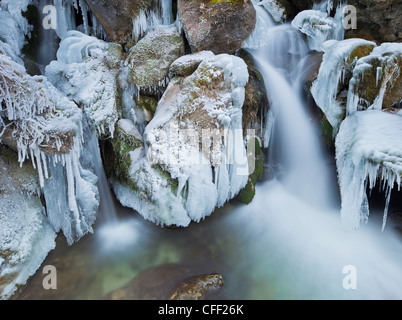 Avis de Mira tombe en hiver, Basse Autriche, Autriche, Europe Banque D'Images