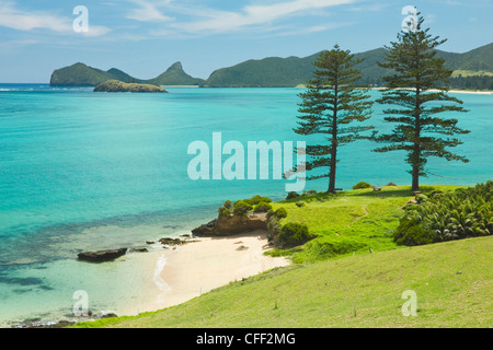 À North Bay, sur l'amant de ce 10km de long, l'île volcanique dans la mer de Tasman, Lord Howe Island, New South Wales, Australie Banque D'Images