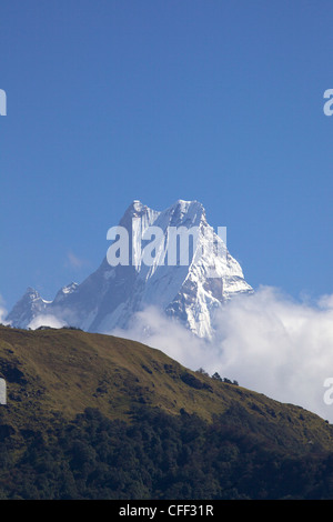 Vue sur la montagne Machhapuchhare (en Y), sanctuaire de l'Annapurna Himalaya, Népal, Région Banque D'Images