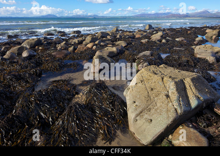 Montagnes de Snowdonia de Llandanwg Beach, près de Harlech, Gwynedd, au nord du Pays de Galles, Cymru, Royaume-Uni, Europe Banque D'Images