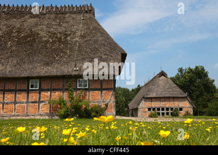 Maison de ferme frisonne avec toit de chaume dans le village, Unewatt commune Glücksburg, county Holstein de l'État fédéral, de l'al. Banque D'Images