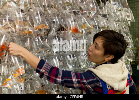 Pour la vente de poisson dans un sac en plastique Banque D'Images