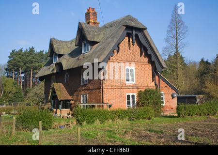 Chalet en bois de chaume près de Orford, Suffolk, Angleterre Banque D'Images