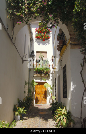 Vieille ville typique des maisons de ville à une petite ruelle, Córdoba, Cordoue, Andalousie, province de l'Espagne, l'Europe de l'Ouest. Banque D'Images