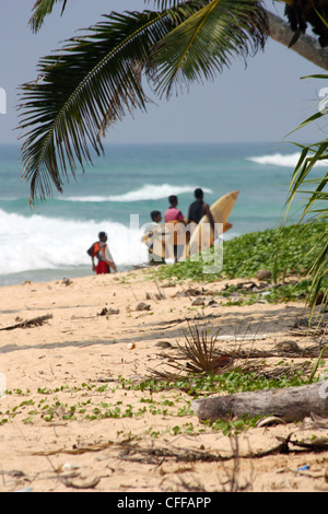 Quatre Amis Surfer sur la plage au Sri Lanka Banque D'Images