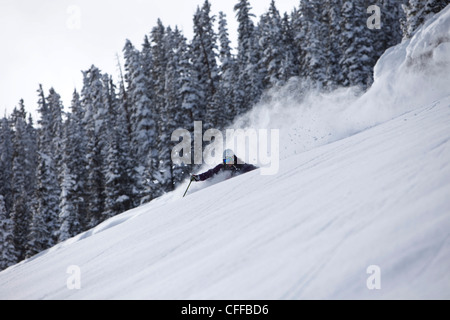 Un skieur sportif frais rip tourne en poudre dans l'arrière-pays pour un jour de tempête dans le Colorado. Banque D'Images