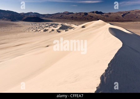 Lumière du matin à Eureka dunes de sable, de hautes dunes en partie à distance de la Death Valley, Californie, USA Banque D'Images