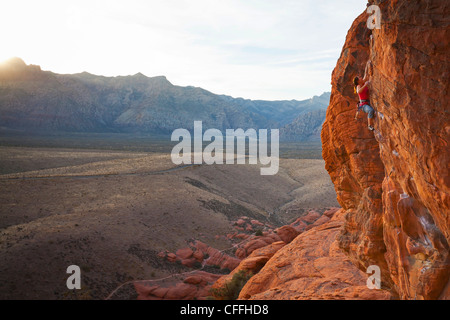 Un alpiniste dans le calicot Hills, Red Rock Canyon National Conservation Area, Nevada, USA. Banque D'Images