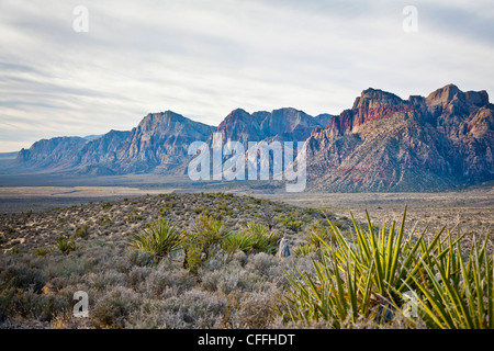 Red Rock Canyon National Conservation Area, Nevada, USA. Banque D'Images