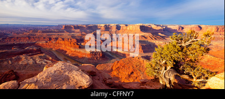 Vue panoramique sur le lever du soleil sur le Plateau du Colorado à Dead Horse State Park, Moab Utah, USA Banque D'Images