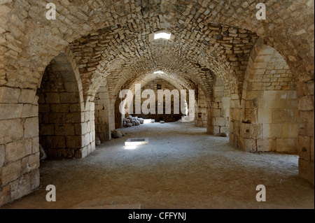 Krak des Chevaliers. La Syrie. Vue de la chambre voûtée longue qui a été l'un des nombreux chevaux à l'intérieur du château des Croisés. Banque D'Images