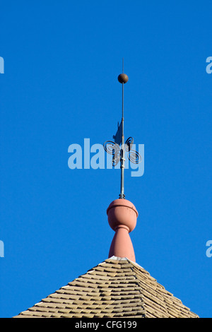 Toit et vain de la météo garde Magazine à Virginia's Historic Triangle Colonial Williamsburg en Virginie Banque D'Images