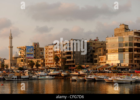 Tartous. La Syrie. La fin de l'après-midi soleil donne lueur chaude pour le port des bateaux de pêche et les bâtiments de la zone côtière au bord de l'eau Banque D'Images