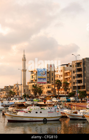 Tartous. La Syrie. La fin de l'après-midi soleil donne lueur chaude pour le port des bateaux de pêche et les bâtiments de la zone côtière au bord de l'eau Banque D'Images