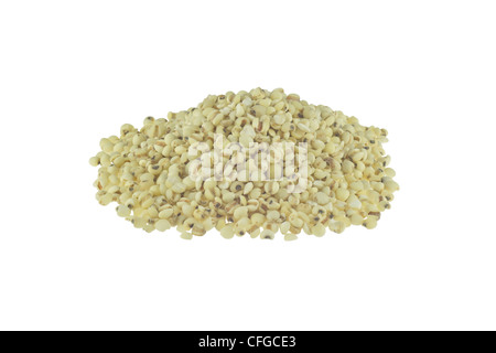 Millet isolé sur fond blanc Banque D'Images
