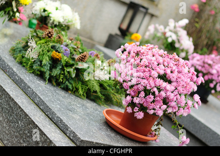 Fleurs funéraire placé sur la tombe à toutes les âmes, maison de vacances. Banque D'Images