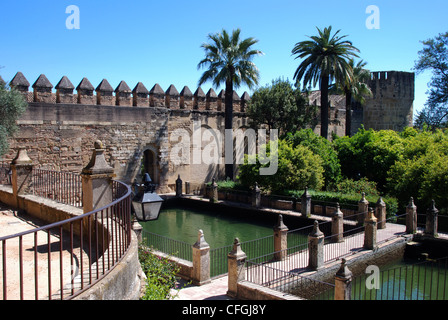 Les jardins de l'eau dans le cadre du Palais forteresse des rois chrétiens, Cordoue, province de Cordoue, Andalousie, Espagne, Europe de l'Ouest. Banque D'Images