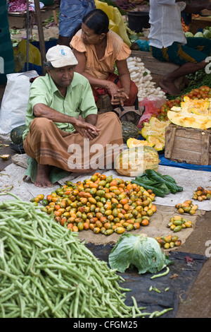 La mandarine en vente sur le marché local Sri Lanken Banque D'Images