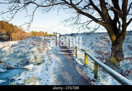 Les fortes gelées et de la neige étapes menant à Castle Ring au milieu de l'hiver Cannock Chase Country Park AONB (area of outstanding natural Banque D'Images