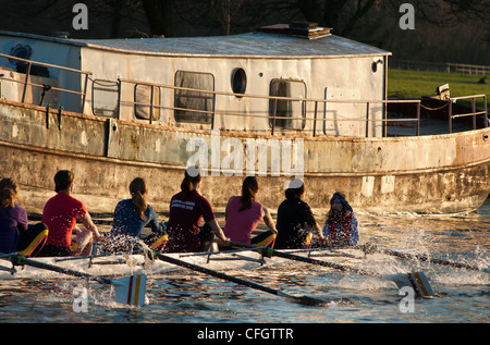 Les rameurs au coucher du soleil sur la rivière Cam, près de Cambridge, Angleterre. Banque D'Images