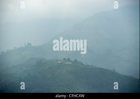 Monts Rwenzori à Bundibugyo, dans l'ouest de l'Ouganda. Banque D'Images