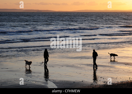 Homme et femme sur la plage avec deux chiens. Le coucher du soleil. Bracklesham Bay. Au-delà de l'île de Wight. Banque D'Images