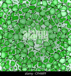 Biologie des cellules texture background (feuille verte) Banque D'Images