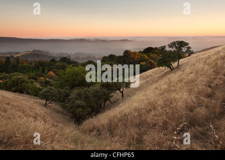 Un magnifique coucher de soleil sur un plat typique de la prairie de la Californie en été Banque D'Images