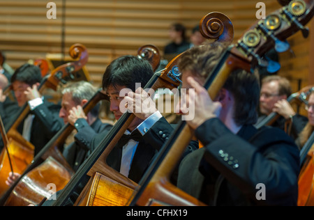 Paris, France, l'Orchestre symphonique de Corée du Nord 'l'Orchestre Unhasu' avec 'l'Orchestre Philharmonique de radio France' donne le premier concert en Europe, dans la salle Playel Theatre, les joueurs de violon à basse sur scène, font de la musique ensemble, LES INSTRUMENTS DE JEU CORÉENS Banque D'Images