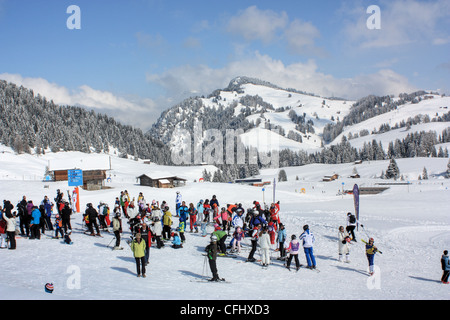 Seiser Alm / Alpe di Siusi, le Tyrol du Sud, Italie Banque D'Images