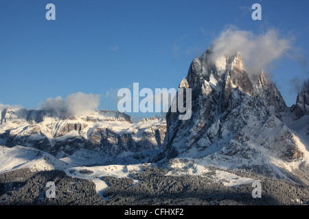 Mont Langkofel / Sassolungo, Alpe di Siusi / Alpe di Siusi, le Tyrol du Sud, Italie Banque D'Images