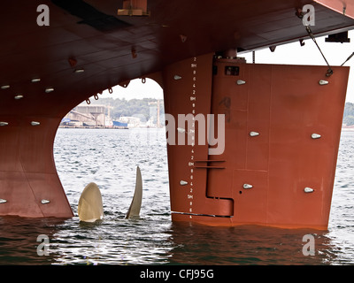 Grande hélice et un gouvernail sur un bateau neuf Banque D'Images