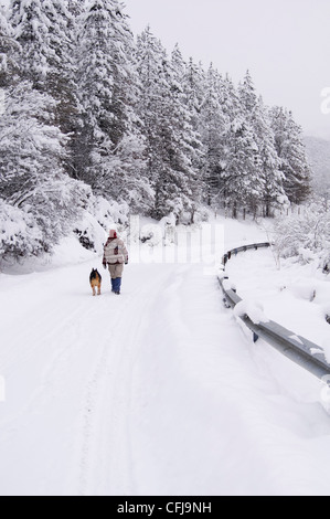 Hiver neige froid road, fille qui marche un chien Banque D'Images