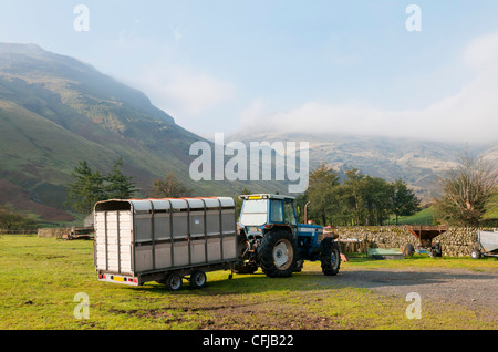 Tracteur et remorque bétail sur hill farm dans la région de Lake District, Cumbria, Royaume-Uni Banque D'Images