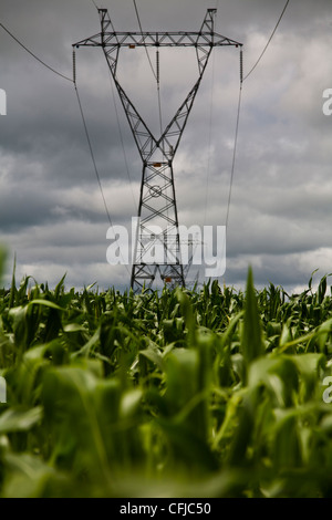 Tour de transmission de plantation de maïs BR-163 route à l'État de Mato Grosso la distribution d'énergie électrique en campagne au Brésil Banque D'Images