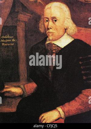 WILLIAM HARVEY (1578-1657) médecin anglais qui décrit la circulation du sang il Banque D'Images