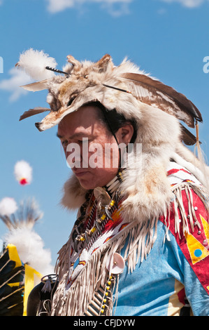 L'homme en costume traditionnel des Pieds-Noirs, Siksika Nation Pow-wow, Gleichen, Alberta, Canada Banque D'Images