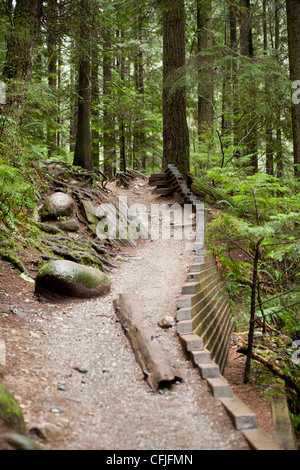 Un sentier de randonnée par Lynn Valley à Vancouver, Colombie-Britannique. Banque D'Images