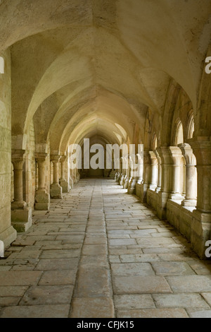 Cloître, l'abbaye de Fontenay, Site du patrimoine mondial de l'UNESCO, Bourgogne, France, Europe Banque D'Images