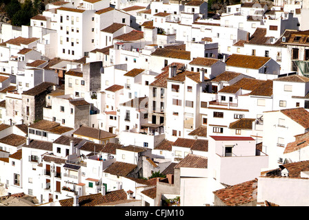 Village blanc de Casares, Sierra Bermeja, Andalousie, Espagne, Europe Banque D'Images